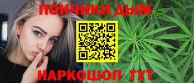 шишки Краснознаменск