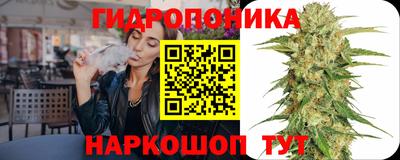 шишки Краснознаменск