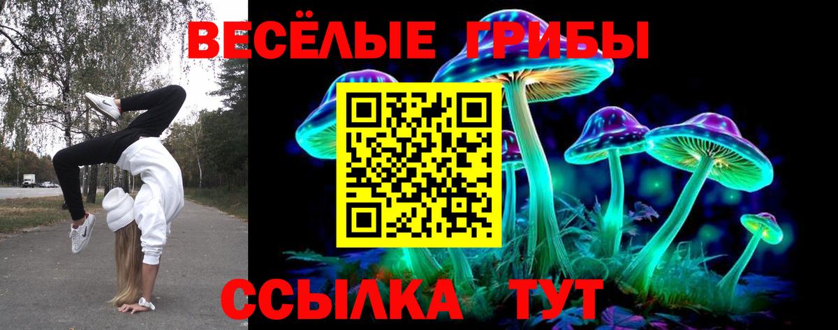 Псилоцибиновые грибы ЛСД  Вход с VPN  Железногорск 